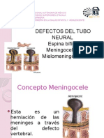 Defectos Del Tubo Neural