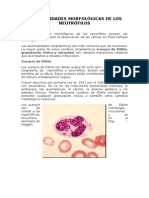 Anormalidades Morfológicas de Los Neutrófilos