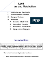 2nd - Part 3 - Lipid Structure and Metabolism