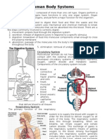 Human Body Systems