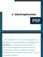 L' Électrophorèse