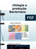 Morfologia Bacteriana