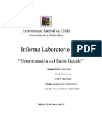 Informe Laboratorio Lim Liq