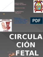 Circulacion Fetal