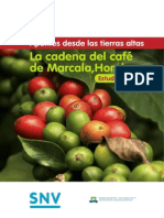 Cafe de Marcala PDF