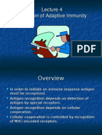 Activation of Adaptive Immunity