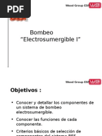 Bombeo Electrosumergible I