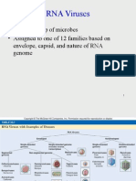 RNA Viruses