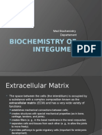 Biochemistry of Integumen, Dr. Tisna Sendy P