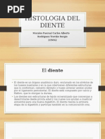 Histologia Del Diente