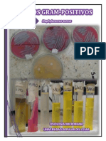 Identificacion de Cocos Gram (+) A Través de Pruebas Bioquímicas Convencionales