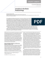 Epilepsy and Inflammation in The Brain: Overview and Pathophysiology