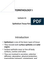 Histopathology I: Epithelium Tissue Part I