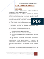 Procedimiento de Sonda Vesical