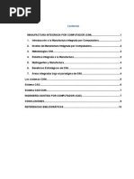 Informe CAM