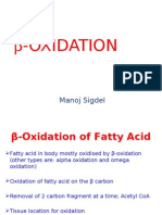 Beta Oxidation