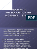 Anatomy &amp Physiology of The Digestive System-Powerpoint