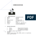 Curriculum Vitae No Documentado Original