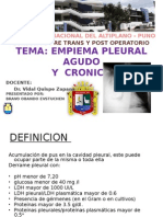 Empiema Pleural 