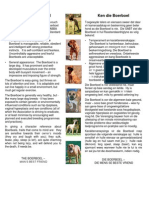 Boar Dog PDF