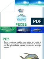 Peces 