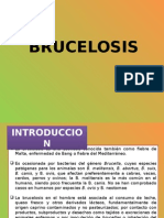 Brucelosis y Tifoidea