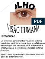 Olho e Visao Humana