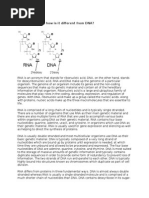 What Is RNA and How Is It Different From DNA