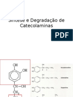 Síntese e Degradação de Catecolaminas