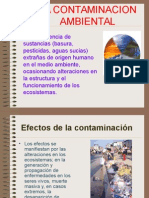 La Contaminacion Ambiental