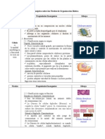 Organización Biotica Niveles Ciencias