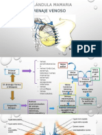 Expo Drenaje Venoso Mama 2015
