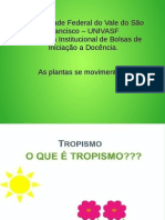 Pibid - Aula Tropismo