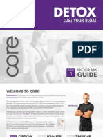 Core Guide Detox Web