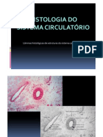 Histologia Do Sistema Cardiovascular