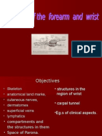 Anatomy of Forearm and Wrist - ppt1