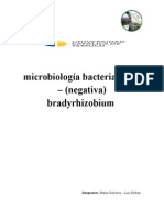 Bradyrhizobium