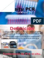 In Situ PCR