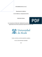 Tesis Doctoral. Concepciones de EA de Docentes