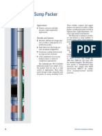 p26 - 27 Ds II Permanent Sump Packer