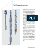 p16 Quantum Perfpac Sevice Assembly