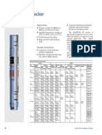 p20 - 21 Quantum GP Packer