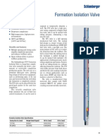 p43 Formation Isolation Valve