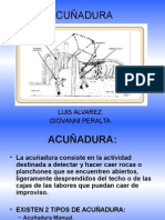 Disertacion Acuñadura