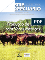 Produção de Leite Com Vacas Mestiças