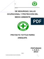 PLAN DE Seguridad Tottus Parra