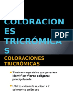 COLORACIONES TRICRÓMICAS Diapo Lista