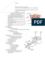 Spinal Cord Injury Study Guide