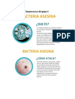 Bacteria Asesina Streptococcus Del Grupo A