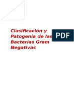 Clasificacion de Las Bacterias Gram Negativas